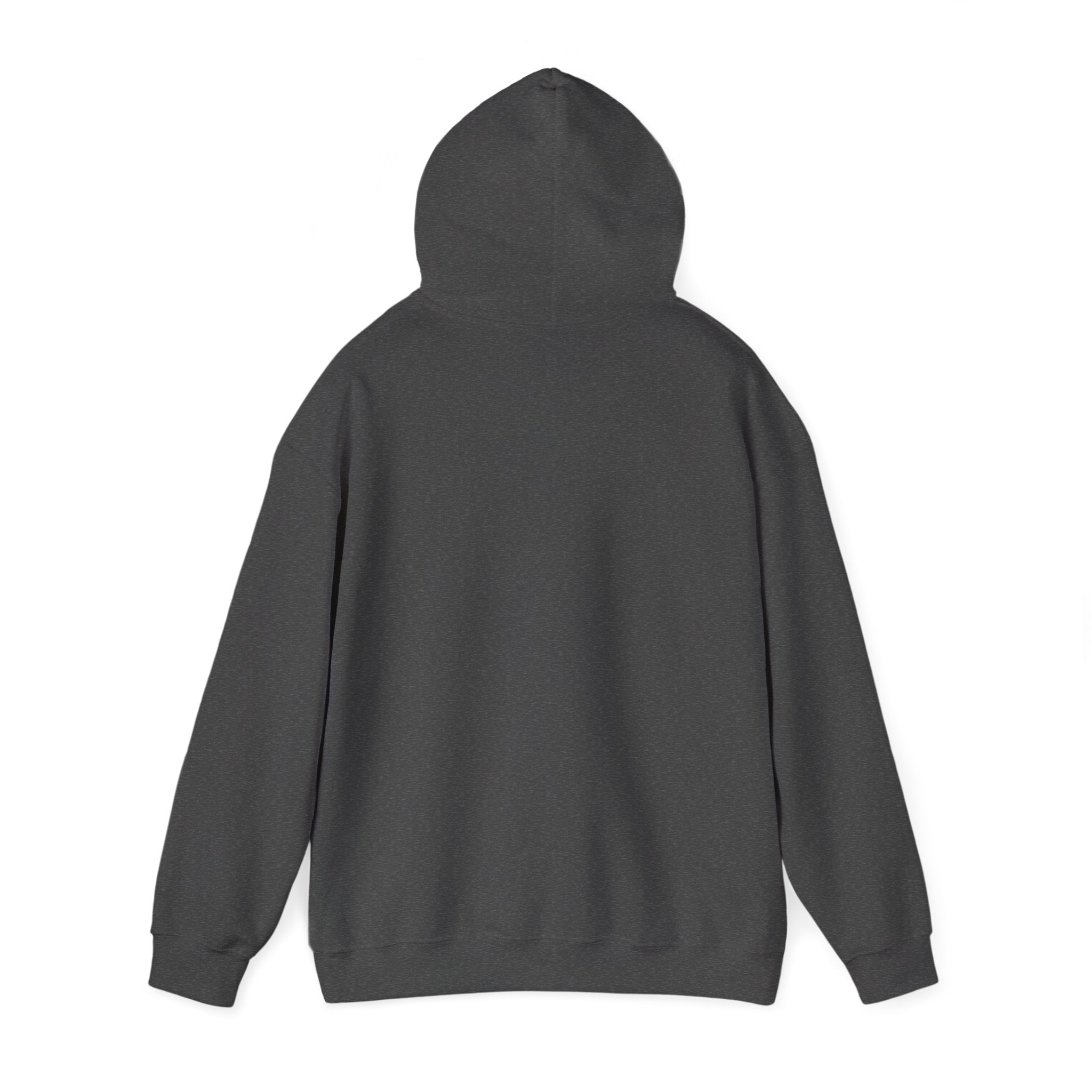 Unisex Crystal Beach Anchors Hoodie