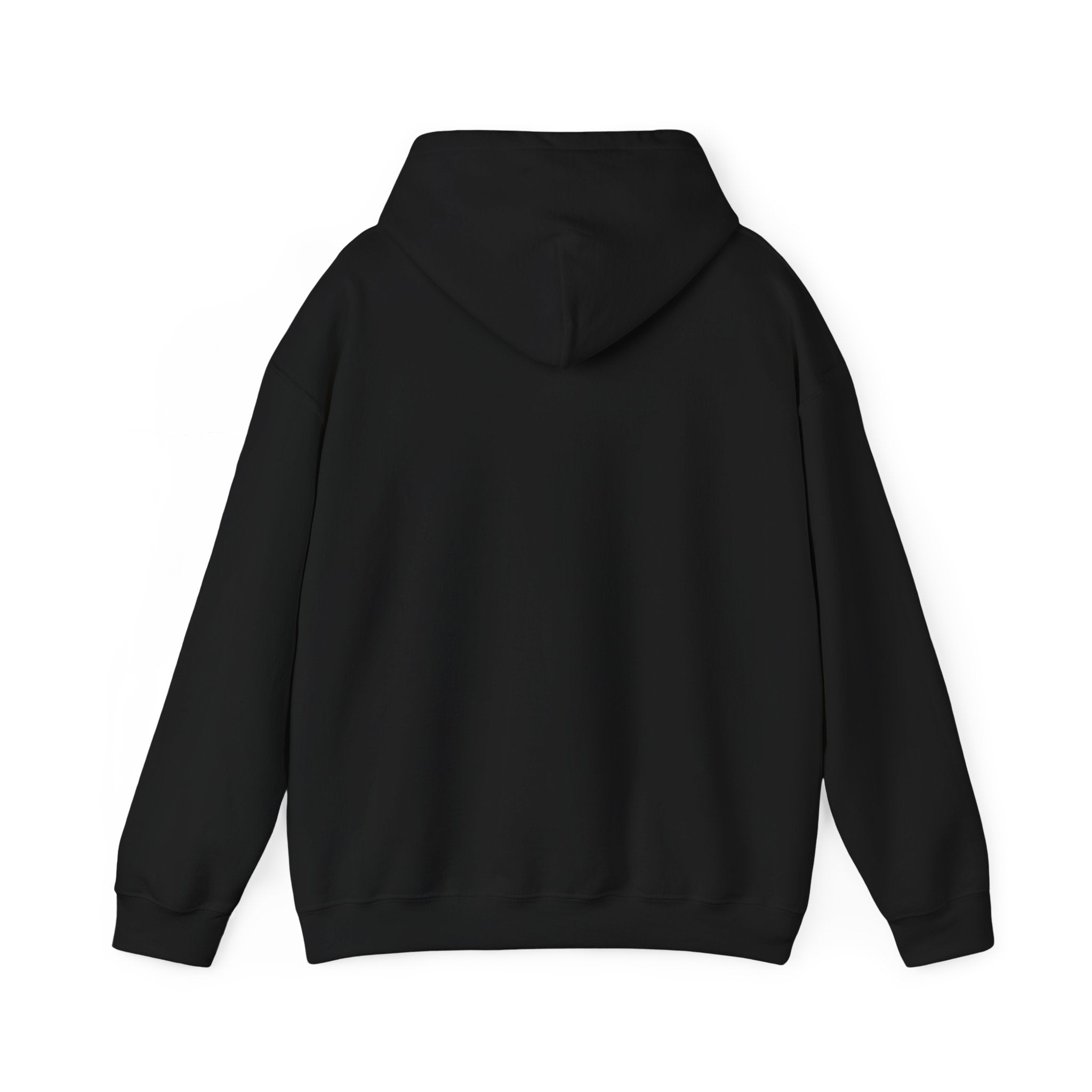 Unisex Crystal Beach Anchors Hoodie