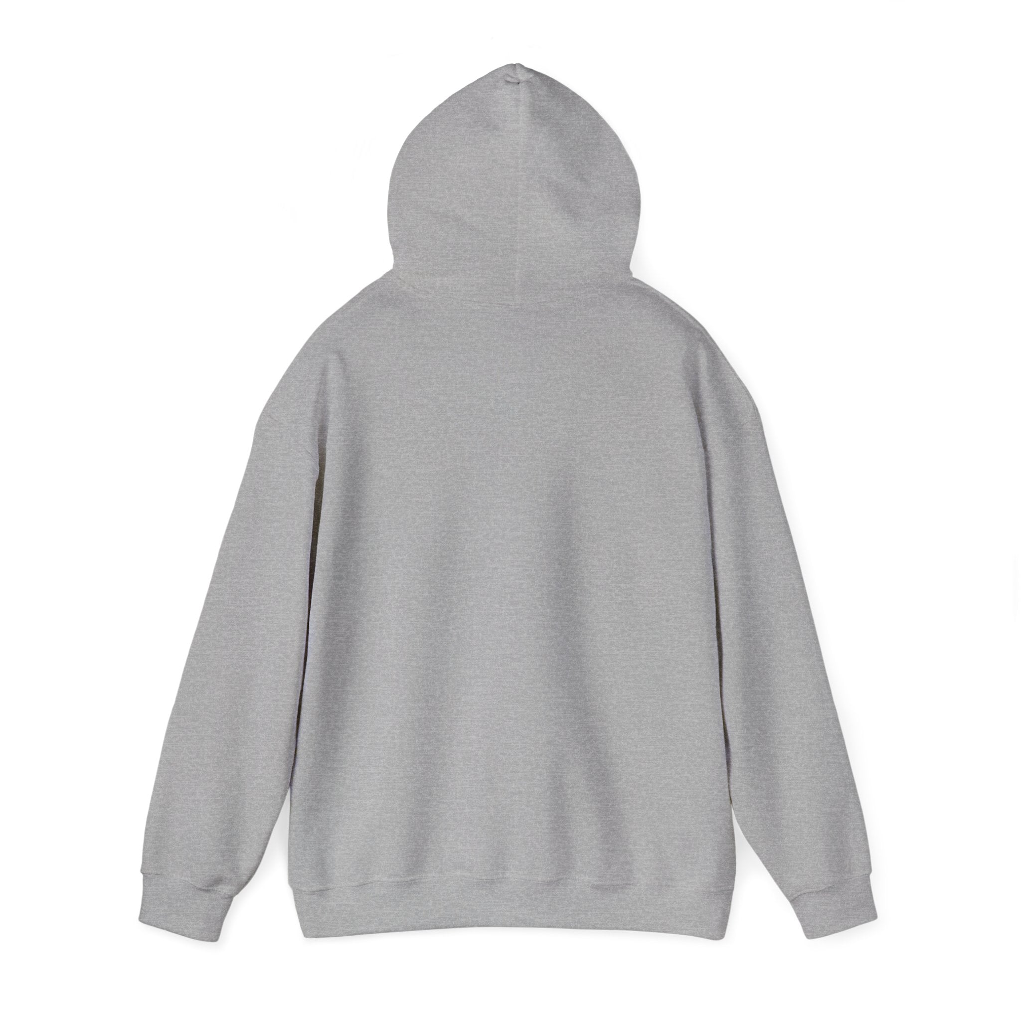 Unisex Crystal Beach Anchors Hoodie