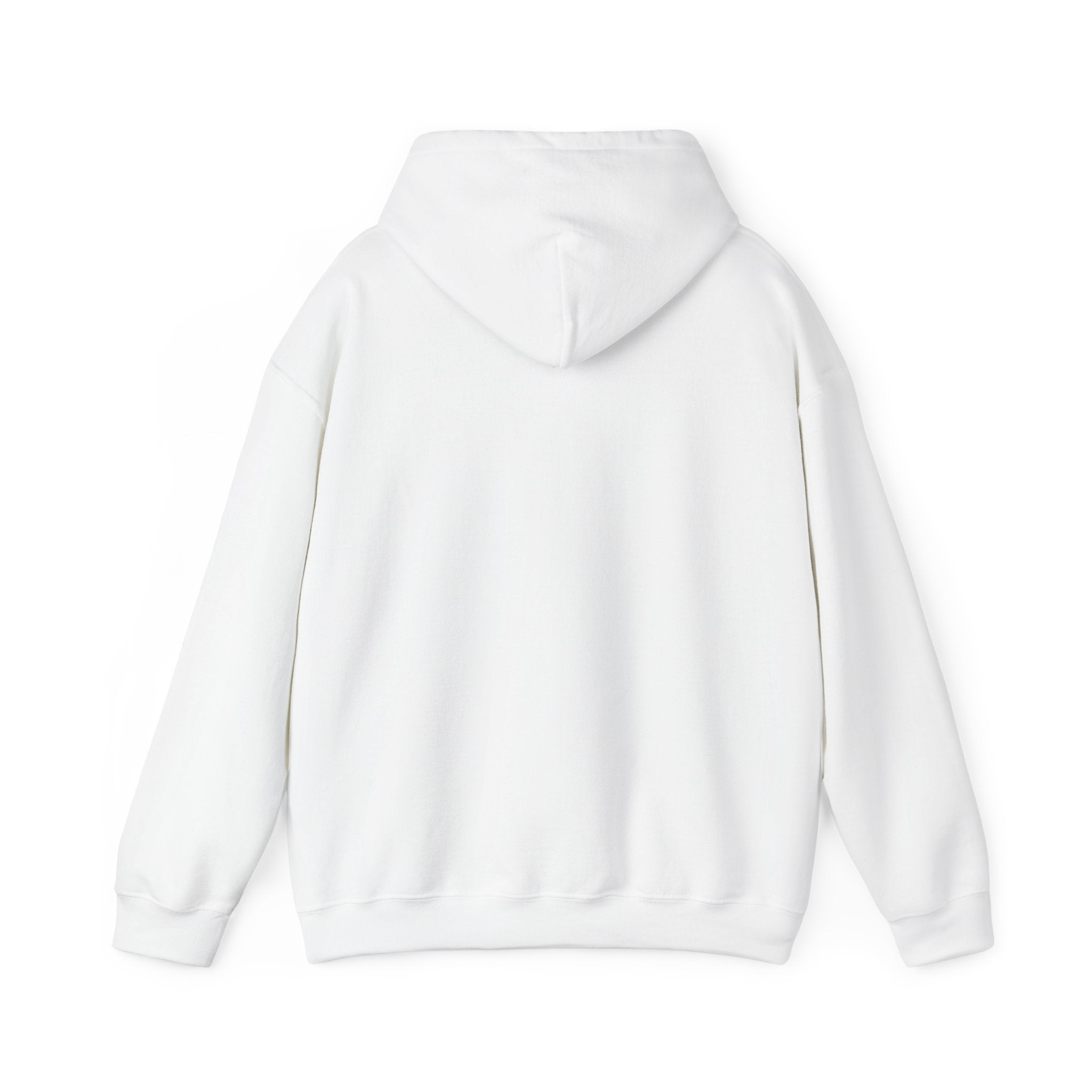 Unisex Crystal Beach Anchors Hoodie